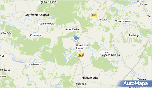 mapa Brzeźnica Leśna, Brzeźnica Leśna na mapie Targeo